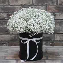Цветочная композиция из Гипсофила в шляпной коробке #REPLACE_PRED# Верхнем Уфалее